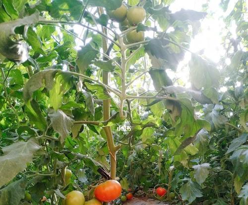 Java Web中日志跟踪的简单实现