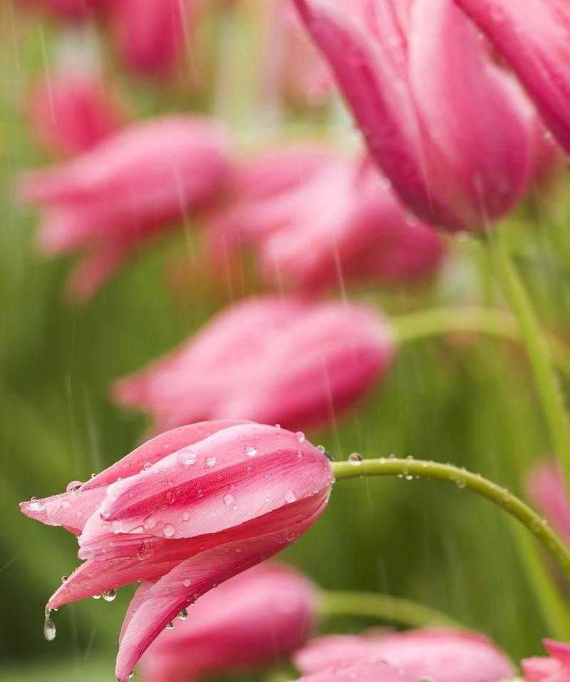 一、使用命令设置ubuntu的ip地址 1.修改配置文件blacklist.conf禁用IPV6： 2.在文档最后添加 blacklist ipv6，然后查看修改结果： 3.设置IP（设置网卡eth0的IP地址和子网掩码） 4.设置网关 5.设置DNS 修改/etc/resolv.conf，在其中加入nameserver DNS的地址1 和 nameserver DNS的地址2 完成。 6.重启网络服务（若不行，请重启ubuntu：sudo reboot）： 7.查看当前IP： 二、直接修改系统配置文件 ubuntu的网络配置文件是：/etc/network/interfaces 并用下面的行来替换有关eth0的行： 用下面的命令使网络设置生效： 也可以在命令行下直接输入下面的命令来获取地址 2. 为网卡配置静态IP地址 并用下面的行来替换有关eth0的行： 将上面的ip地址等信息换成你自己就可以了.用下面的命令使网络设置生效： 3. 设定第二个IP地址(虚拟IP地址) 在该文件中添加如下的行： 根据你的情况填上所有诸如address,netmask,network,broadcast和gateways等信息： 使用下面的命令来设置当前主机的主机名称： 系统启动时,它会从/etc/hostname来读取主机的名称。 5. 配置DNS 6.手动重启网络服务： 返回结果如下： *Reconfiguring network interfaces… [OK]